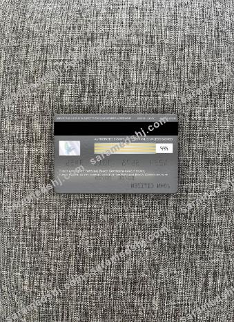 Portugal Banco Carregosa bank visa platinum card photolook back
